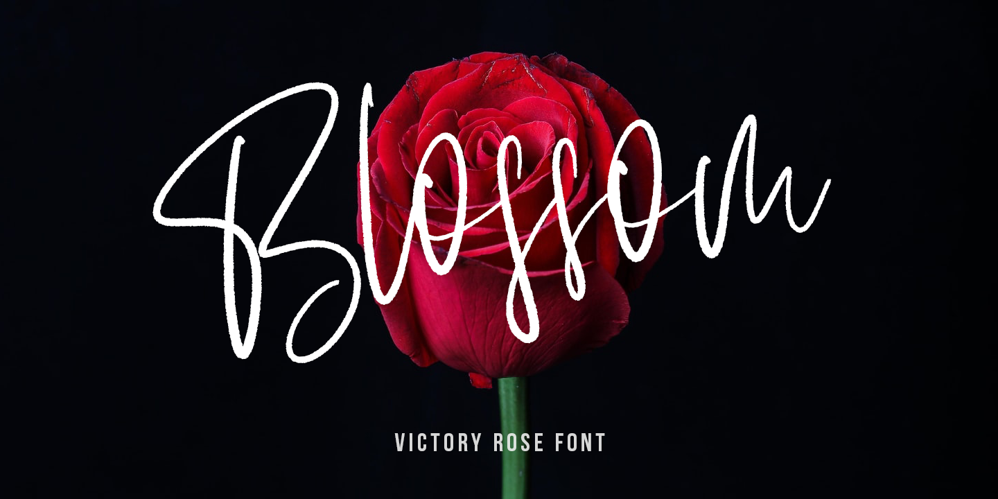 Beispiel einer Victory Rose-Schriftart #2